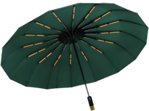 BMW Auto Open And Auto Close Umbrella 16 Ribs